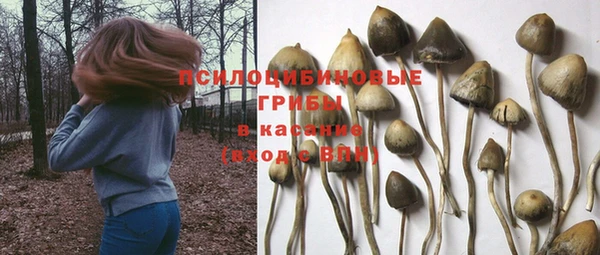 мет Бородино