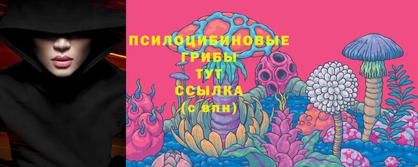 ALPHA-PVP Бугульма