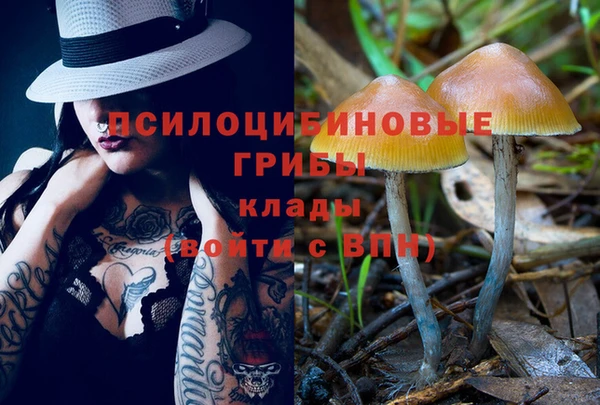 ALPHA-PVP Бугульма