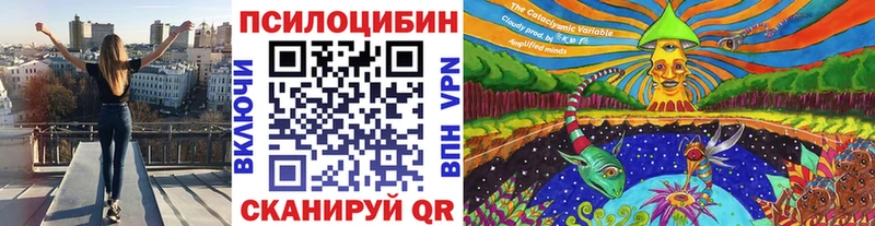 Псилоцибиновые грибы ЛСД  кракен зеркало  Тбилисская 